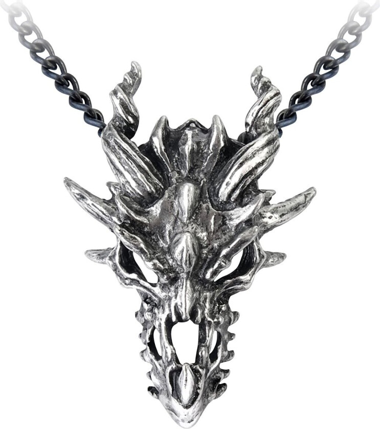 Goth Halskjede - Dragon Skull - Unisex - sølvfarget