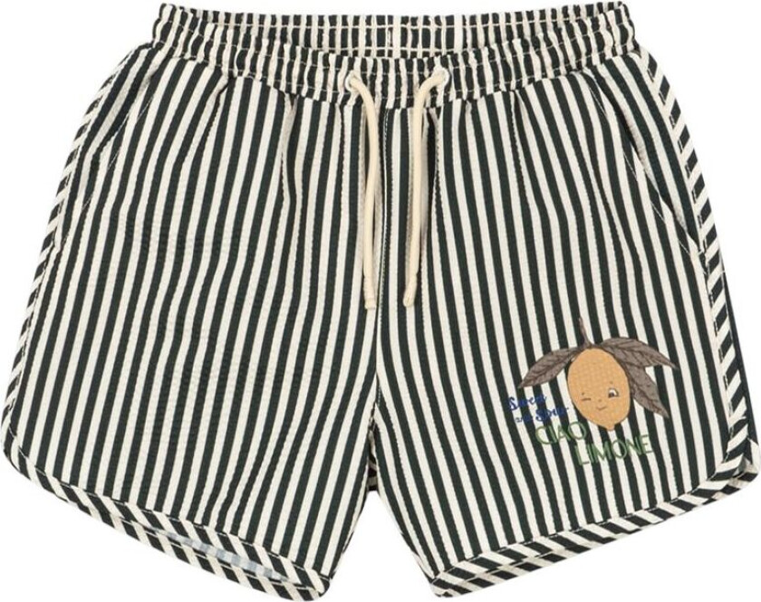 GOTS Asnou Badeshorts Scarab | Svart | 12 months