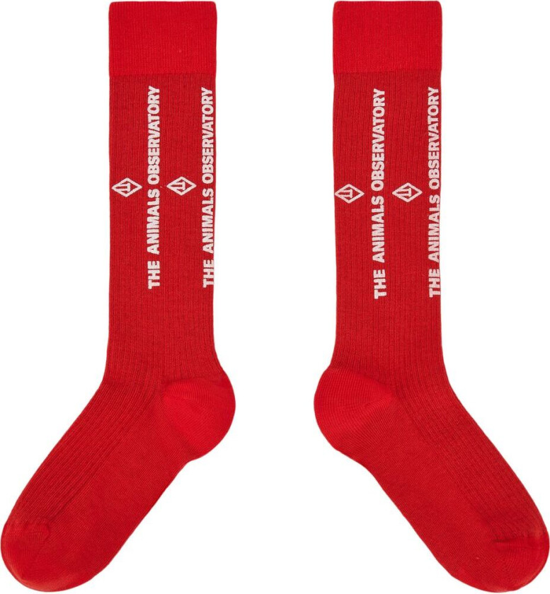 Worm Sokk RED | Rød | 23-26 EU