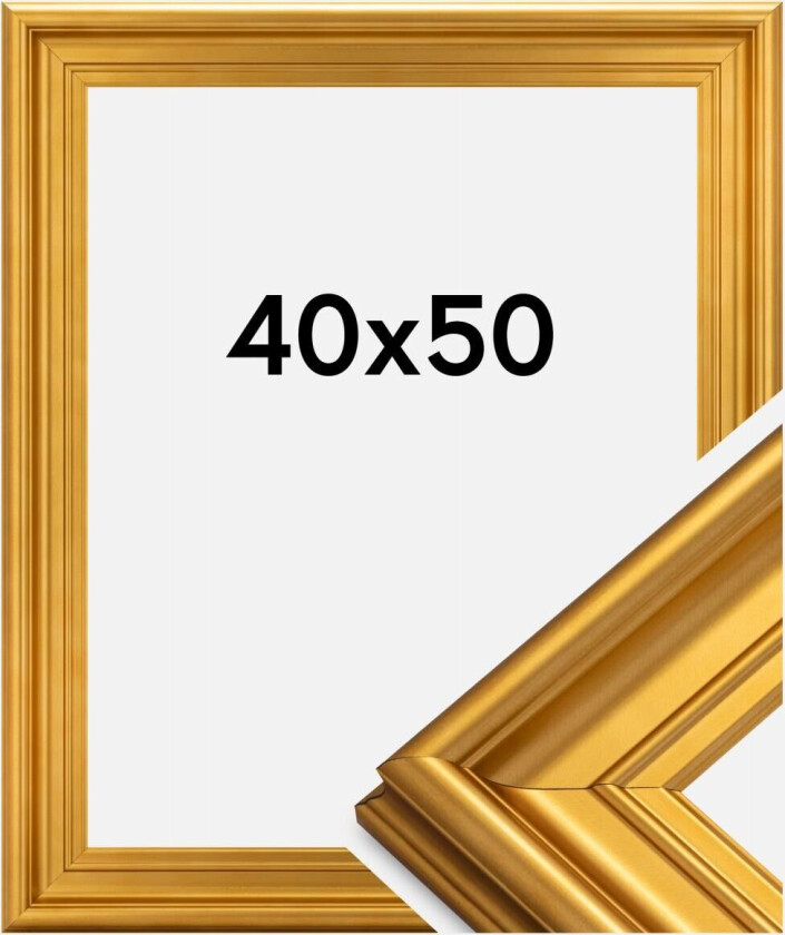 Ramme Mora Premium Gull 40x50 Cm