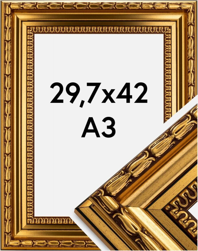 Ramme Birka Premium Gull 29,7x42 Cm (A3)