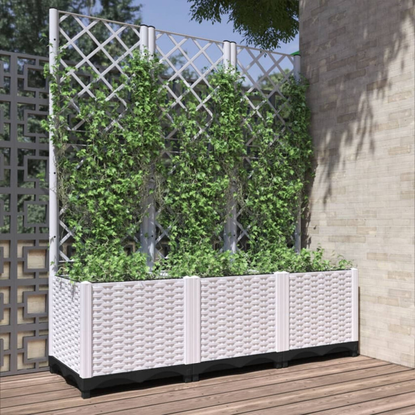 Plantekasse med espalier hvit 120x40x136 cm PP