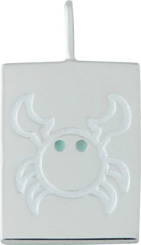 Bilde av Cancer Halskjede Charm Sølvfarget | Sølv | 0-3