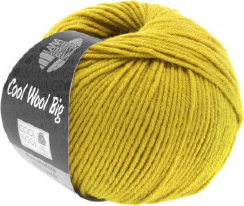 Cool Wool Stort Garn 973