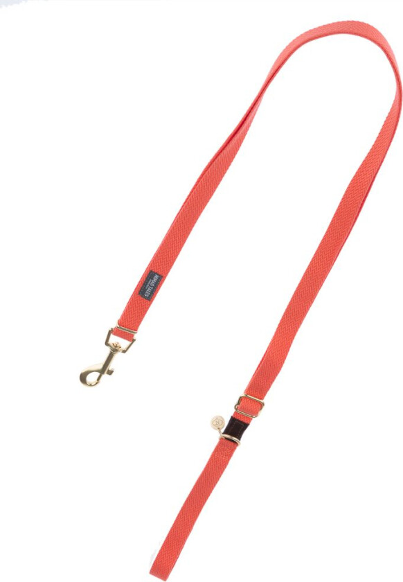 Bloom hundebånd, Coral - 200 cm lang, 20 mm breit