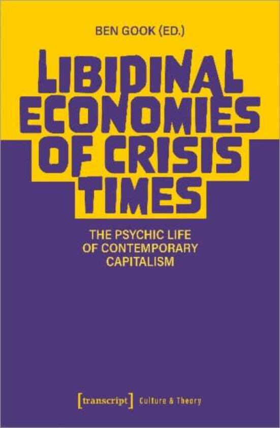 Libidinal Economies of Crisis Times The Psychic Life of Contemporary Capitalism