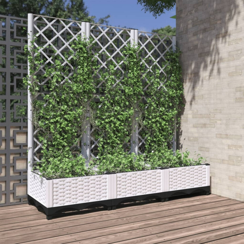 Plantekasse med espalier hvit 120x40x121,5 cm PP