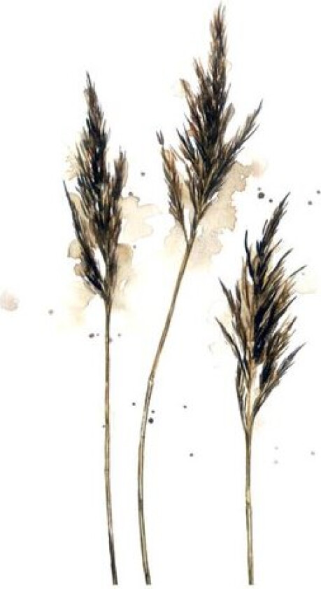 Servietter lunsj 16,5x16,5 cm 20 stk siv