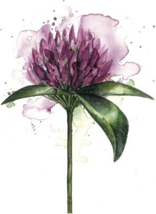 Servietter lunsj 16,5x16,5 cm 20 stk kløverblomst