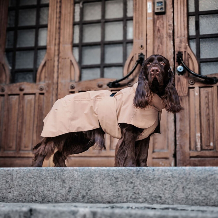 Visibility Lite Regndekken Lysebrun (60 cm / 24 inch)