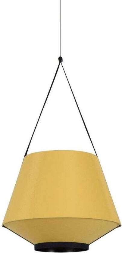 - Carrie Pendel S Curry