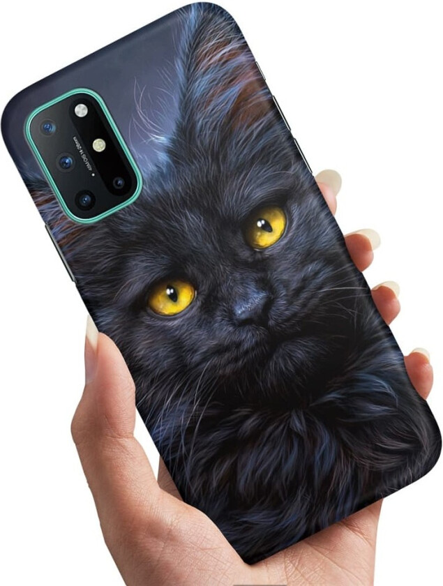 OnePlus 8T - Deksel/Mobildeksel Svart Katt