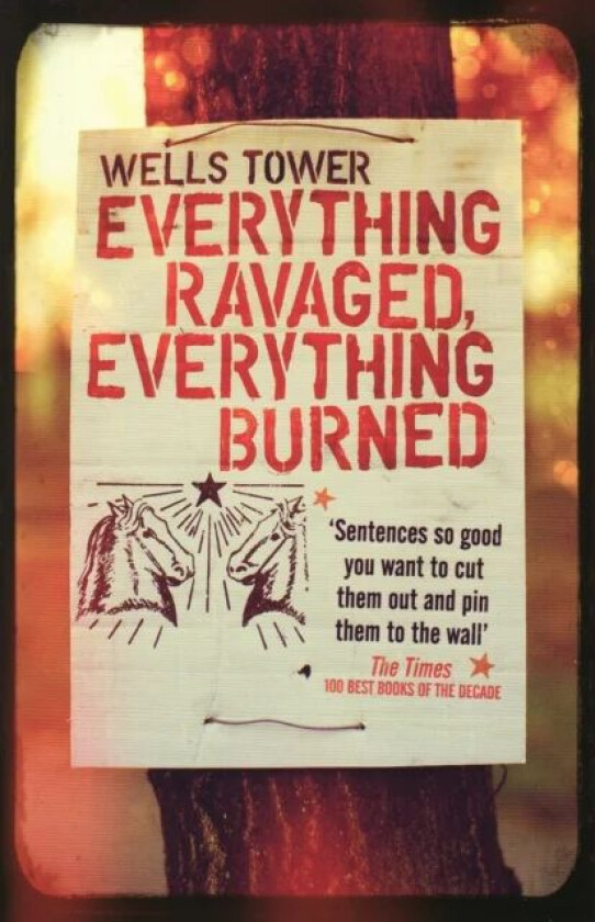 Everything Ravaged, Everything Burned av Wells Tower