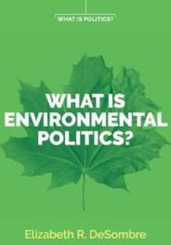 What is Environmental Politics?