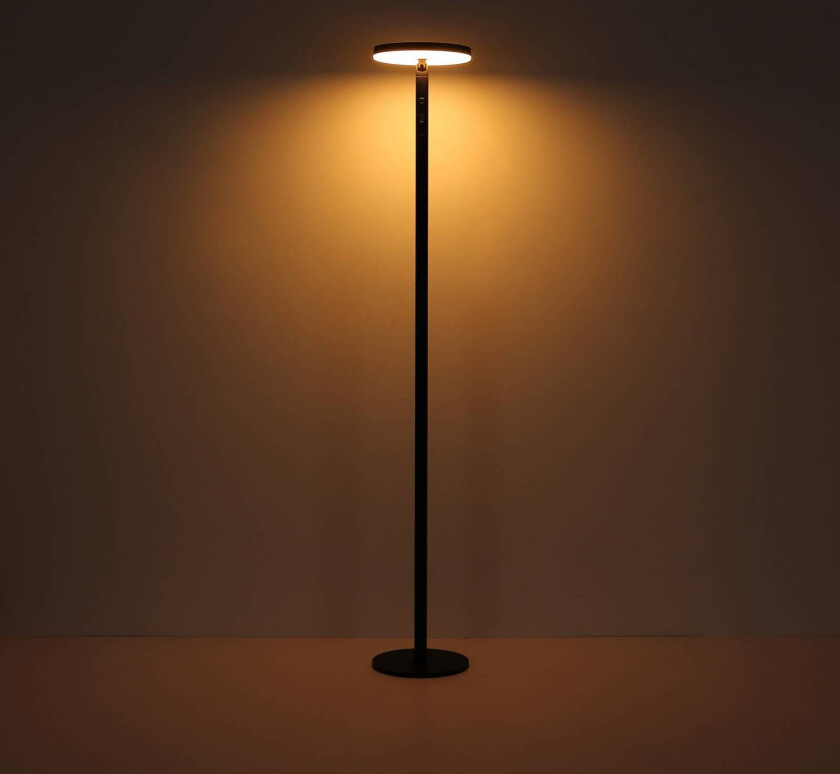 LED-gulvlampe 36508, svart, aluminium, CCT, IP54