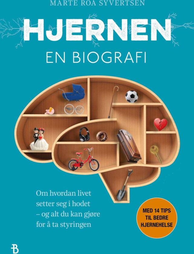 Hjernen av Marte Roa Syvertsen