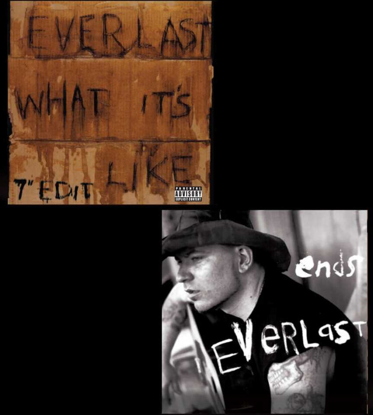 Everlast What It's Like / Ends LP/Vinyl