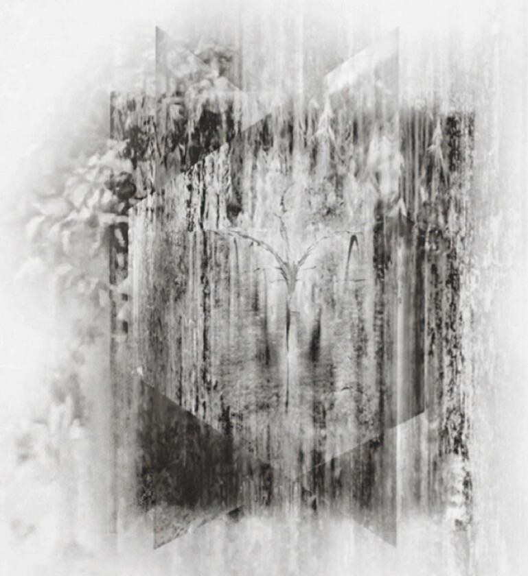 Three Point Circle Fluorescent Grey CD