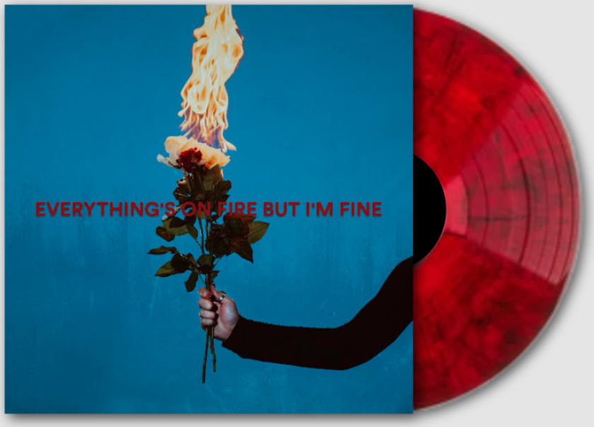 As December Falls Everything's On Fire But I'm Fine LP/Vinyl