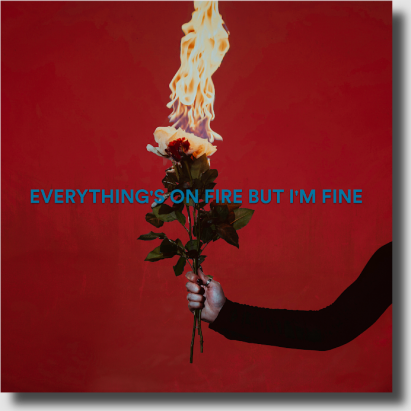 As December Falls Everything's On Fire But I'm Fine CD
