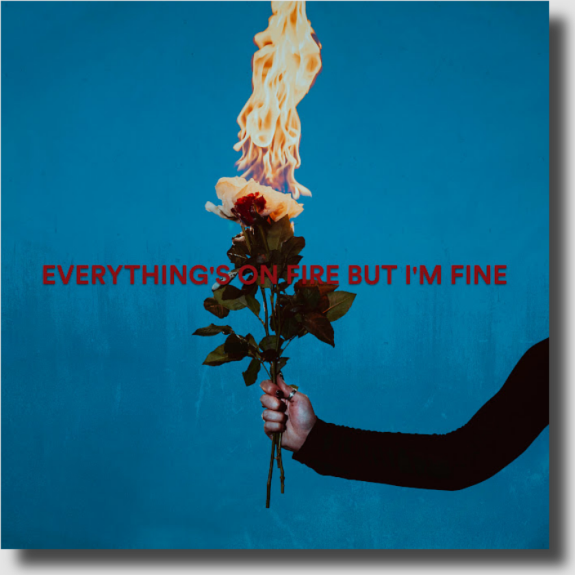 As December Falls Everything's On Fire But I'm Fine CD