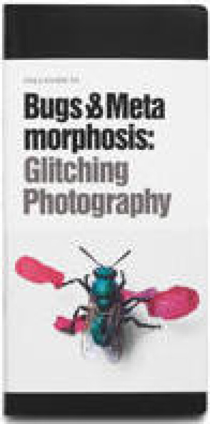 Field guide to bugs & metamorphosis : glitching photography