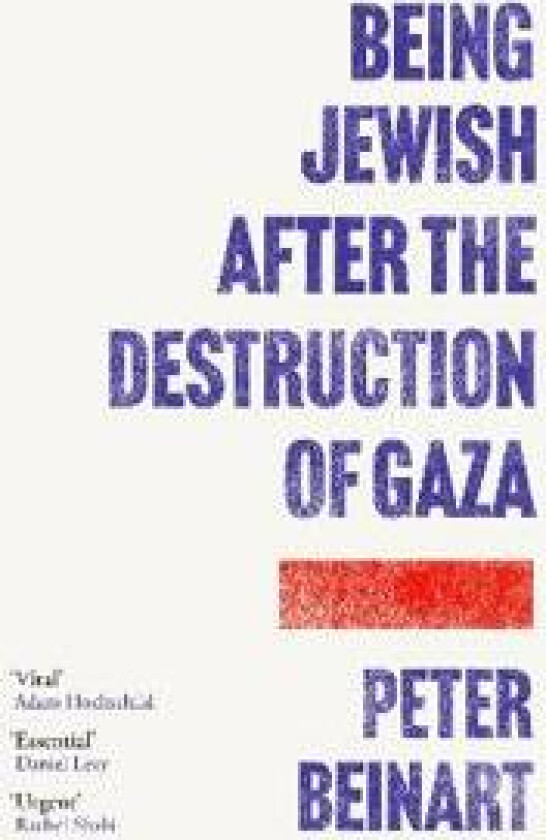 Being Jewish After the Destruction of Gaza