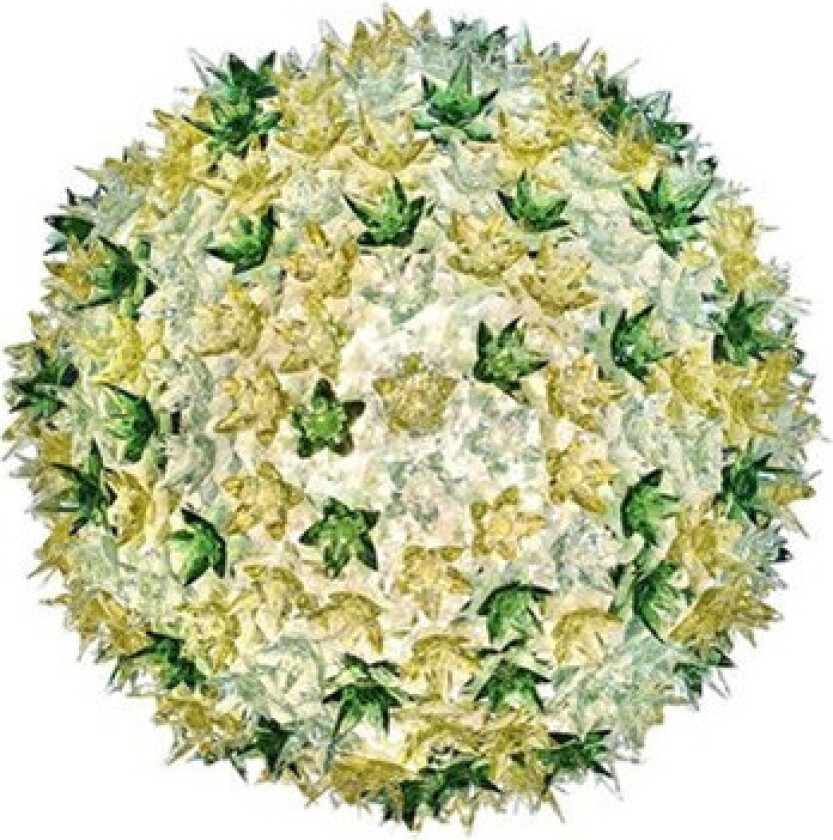 - Bloom C1 Vegglampe/Taklampe Mint