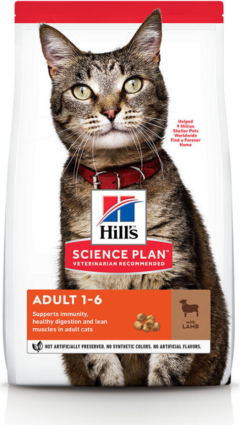 Hill's Science Plan Cat Adult Lamb (10 kg)