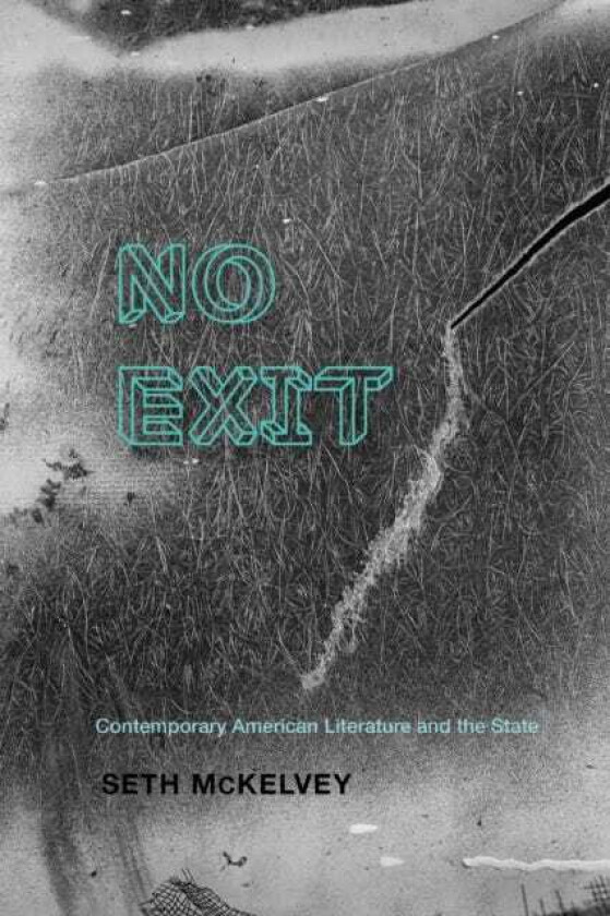 No Exit Contemporary American Literature and the State