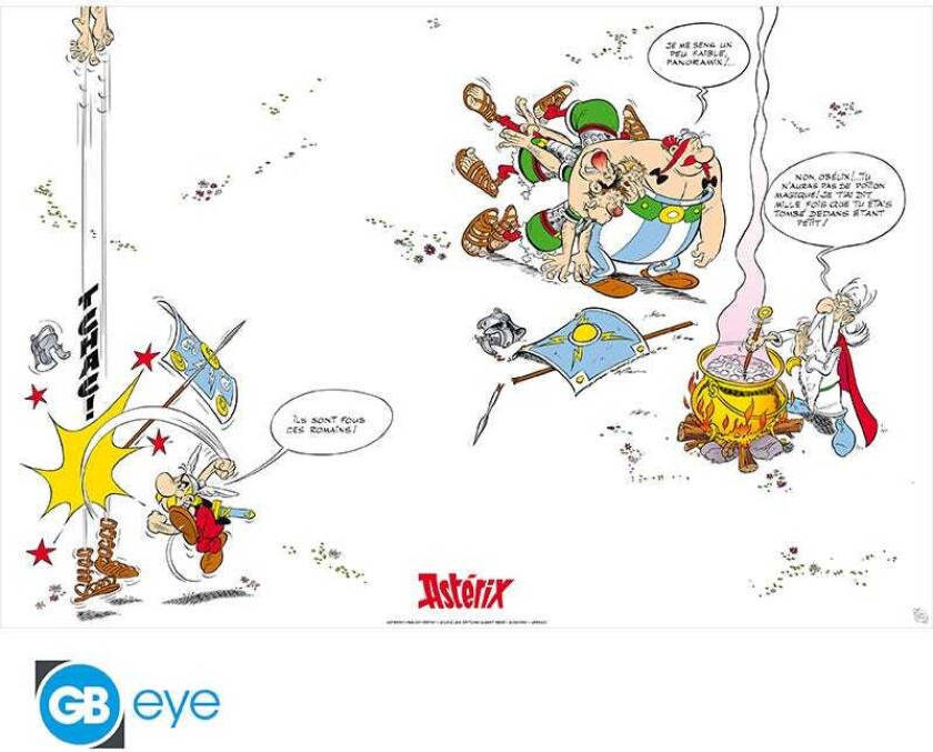 Asterix Plakat Flyleaf