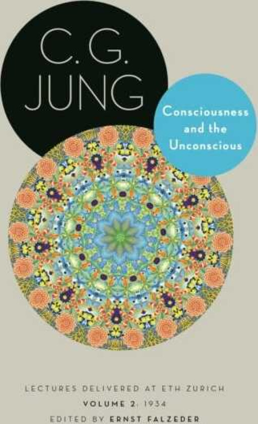 Consciousness and the Unconscious Lectures Delivered at ETH Zurich, Volume 2: 1934