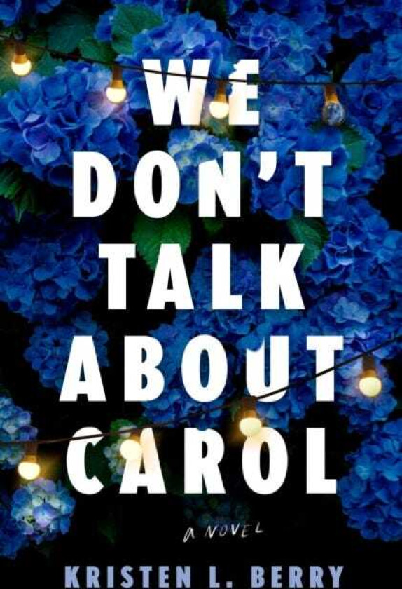 We Don't Talk About Carol A Novel