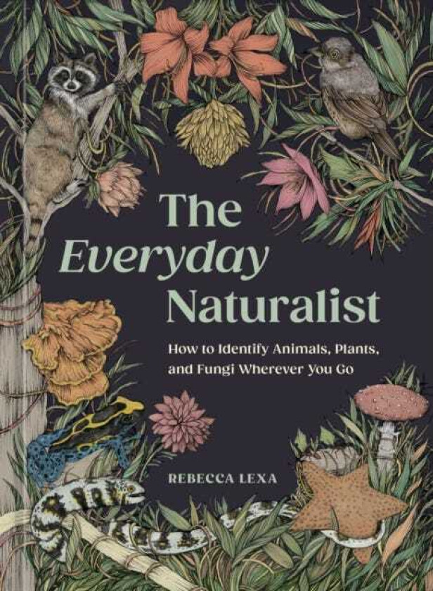 The Everyday Naturalist How to Identify Animals, Plants, and Fungi Wherever You Go