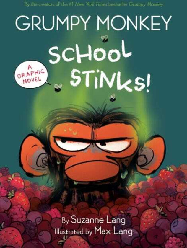 Grumpy Monkey School Stinks! A Graphic Novel