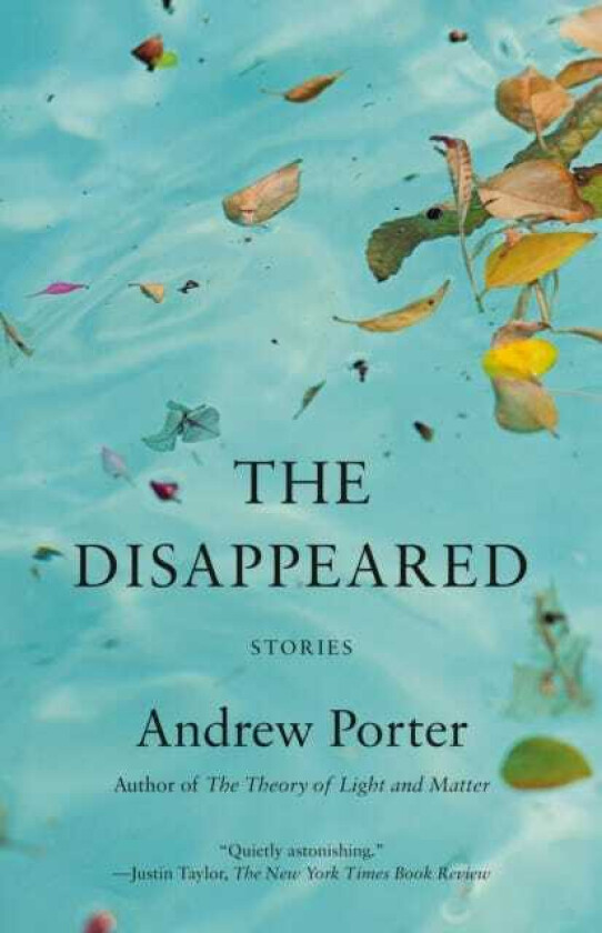 The Disappeared Stories