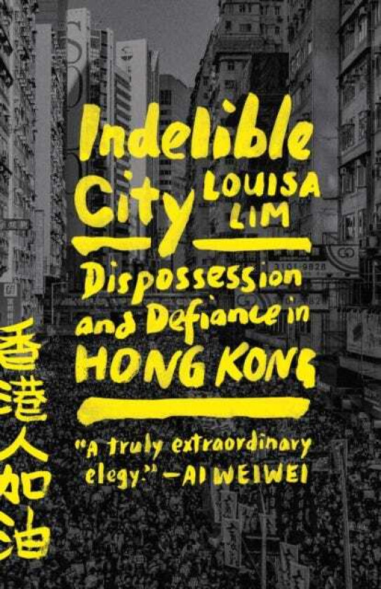 Indelible City Dispossession and Defiance in Hong Kong