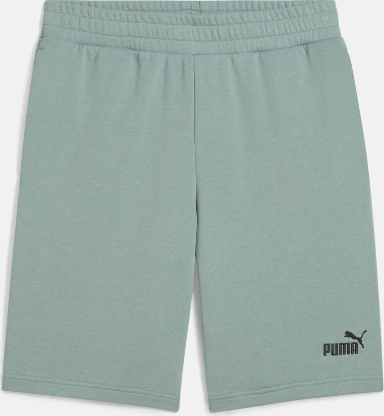 ESS No. 1 Logo Shorts 10"