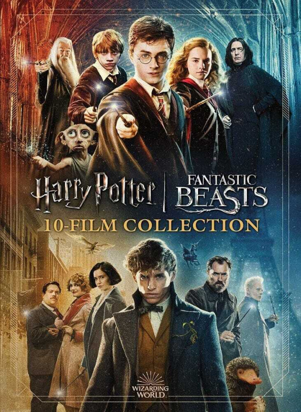 Wizarding World 10Film Collection: 20th Anniv DVD