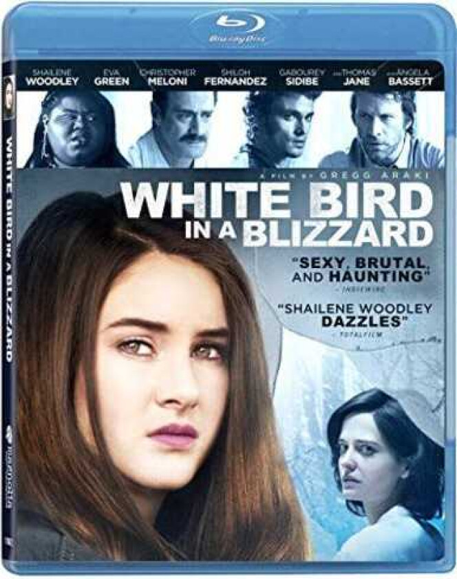 White Bird In A Blizzard Bluray