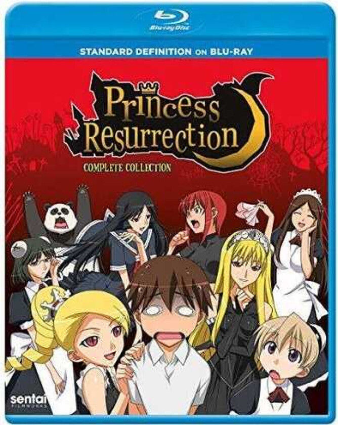 Princess Resurrection Bluray