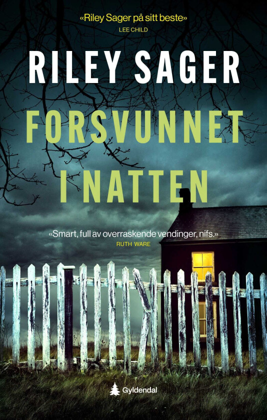 Forsvunnet i natten