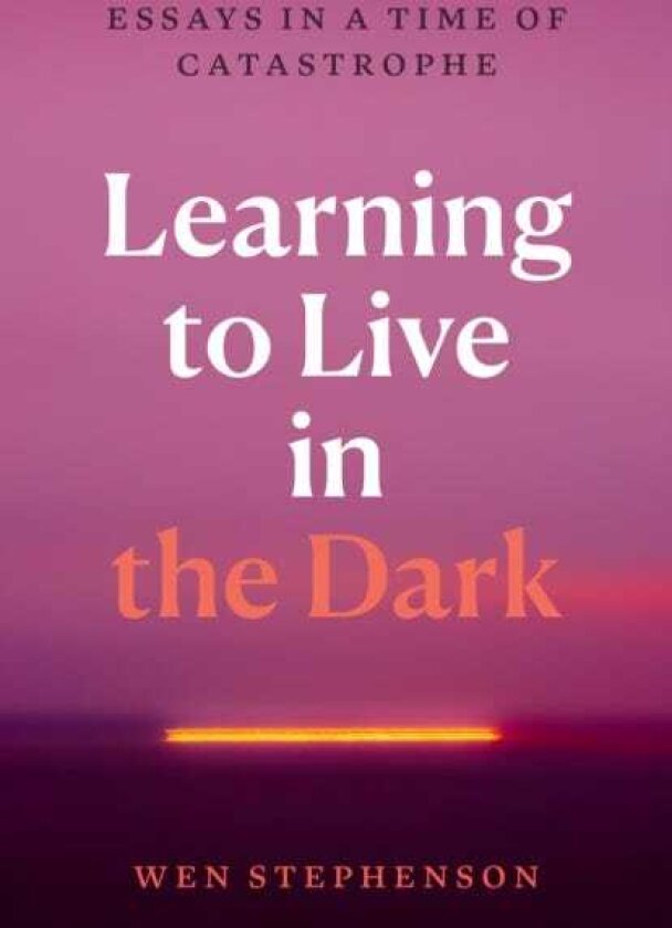 Learning to Live in the Dark Essays in a Time of Catastrophe