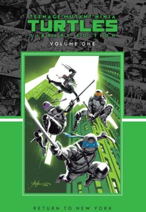 Teenage Mutant Ninja Turtles, Vol. 1: Return to New York Library Edition