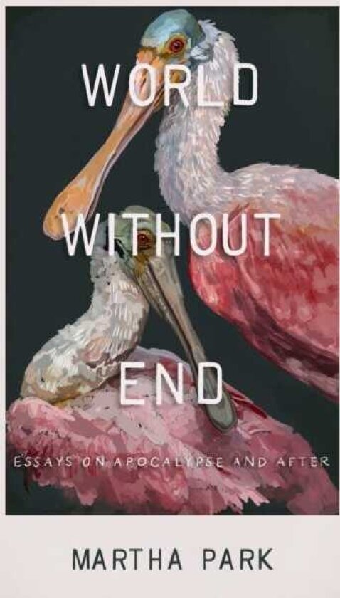 World Without End Essays on Apocalypse and After