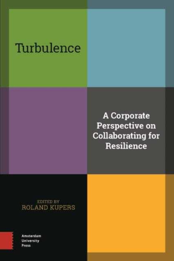 Turbulence A Corporate Perspective on Collaborating for Resilience