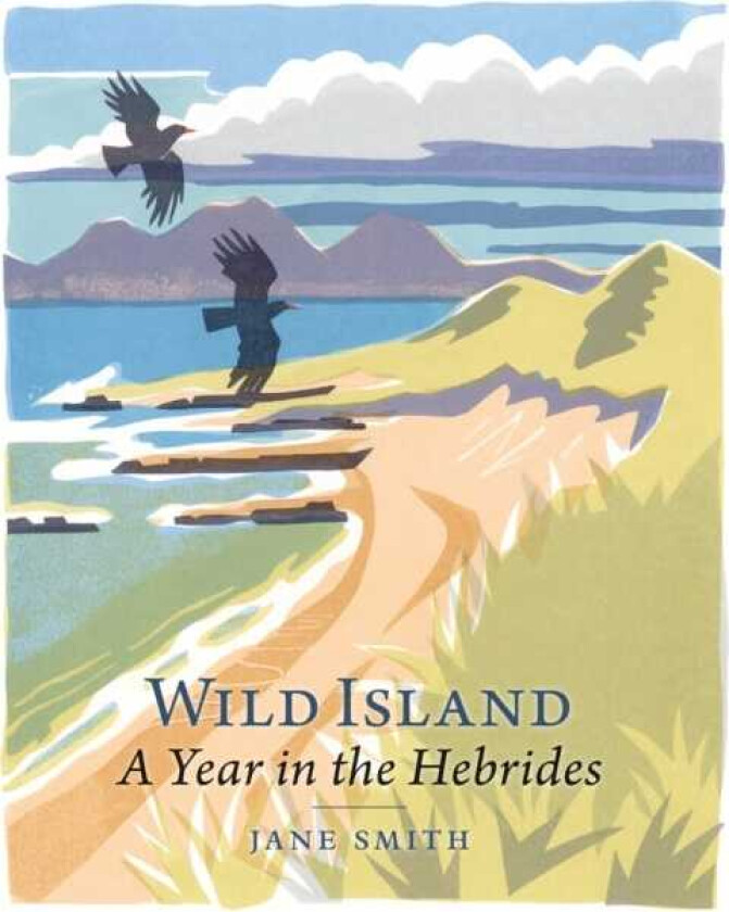 Wild Island A Year in the Hebrides