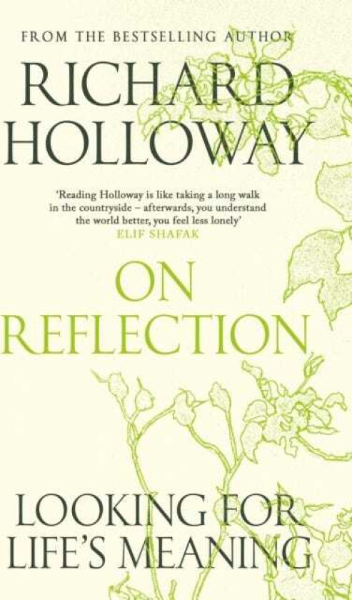 On Reflection Looking for Life's Meaning