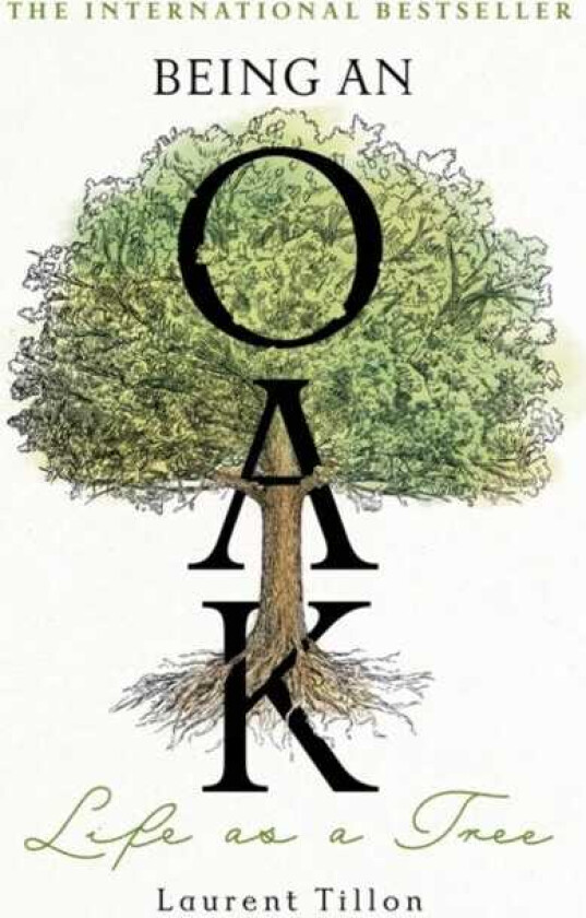 Being an Oak Life as a tree