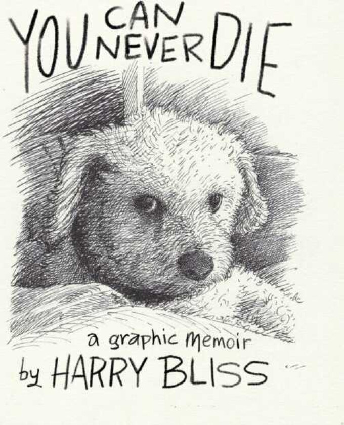 You Can Never Die A Graphic Memoir